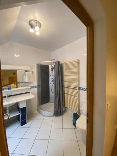 une salle de bain avec une douche, un lavabo et des toilettes dans l'établissement Au Charme du Lac Espace bien être et Piscine chauffé proche parc et restaurant du casino, à Forges-les-Eaux