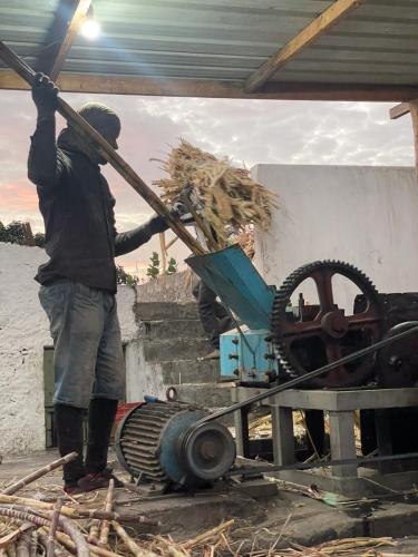 a man is holding a pole and a pile of hay at Casa com pátio e pequena piscina in Ribeira Fria