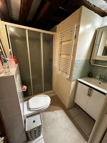 une petite salle de bain avec toilettes et lavabo dans l'établissement Cosy studio Montorgueil, à Paris