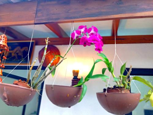 two pots with plants in them hanging from a ceiling at Ramesh Guesthouse in Mirissa