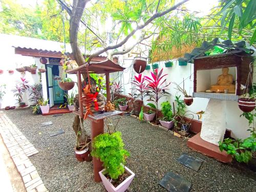 a garden with a lot of plants and a statue at Ramesh Guesthouse in Mirissa