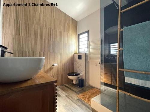 a bathroom with a sink and a shower and a toilet at Mont-Vert exotique - Calme - Vue et PARKING in Saint-Pierre