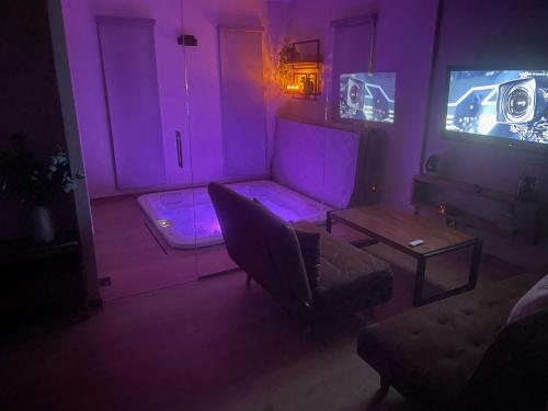 TV a/nebo společenská místnost v ubytování logement avec jacuzzi