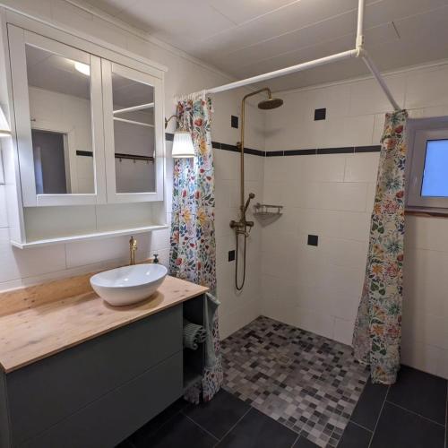 a bathroom with a sink and a shower at Hoffmanns Eden Ferienhaus in Hermeskeil