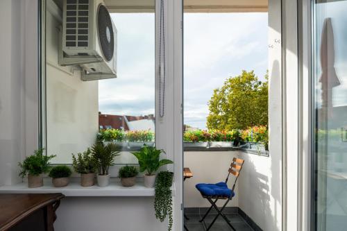 Boardinghouse Hohenzollern photo 19