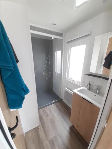 Koupelna v ubytování Mobil home