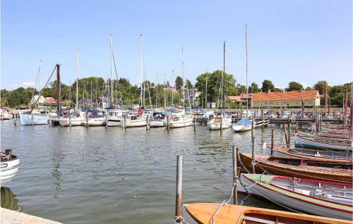 a bunch of boats are docked in a harbor at Awesome Home In Løgstrup With Kitchen in Løgstrup