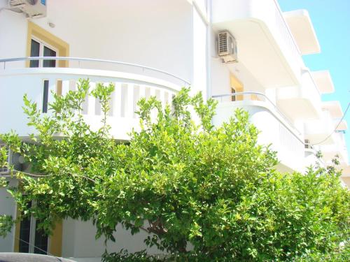 a white building with a tree in front of it at Diamond Apartments & Suites in Hersonissos