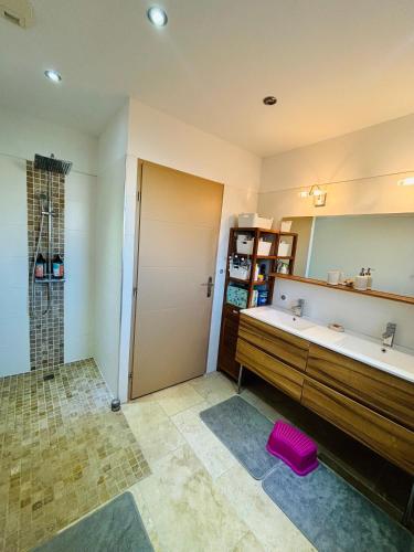 une salle de bain avec une baignoire, un lavabo et une douche dans l'établissement Villa avec jacuzzi en petite camargue, à Saint-Laurent-dʼAigouze