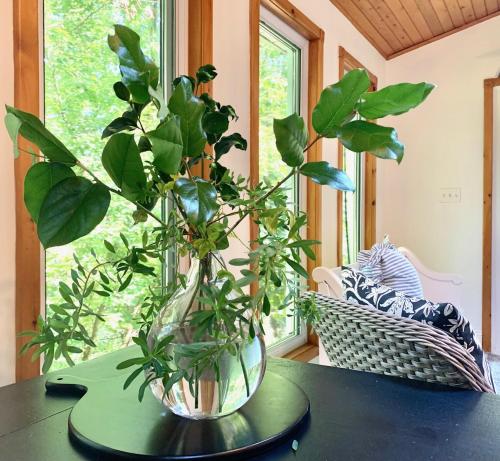 a vase filled with plants sitting on a table at Plantation House Bed & Breakfast in Port Hope