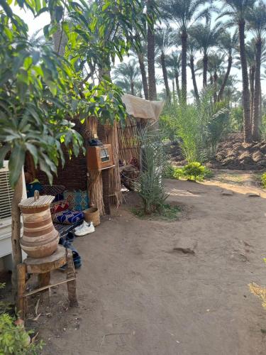 جوله في حياه الريف المصري