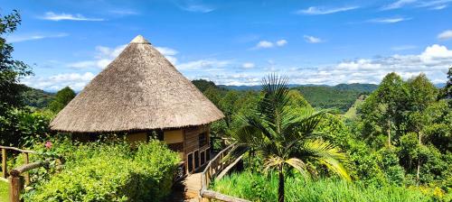 a small hut with a straw roof in a forest at Agandi Uganda Eco-lodges in Bwindi