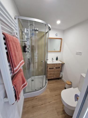 une salle de bain avec douche et toilettes dans l'établissement maison 6 personnes, à Bruère-Allichamps