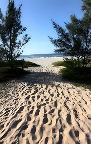 a sandy beach with trees on the side of it at Acesso à Praia Ar Condicionado Conforto Garantido! in Saquarema