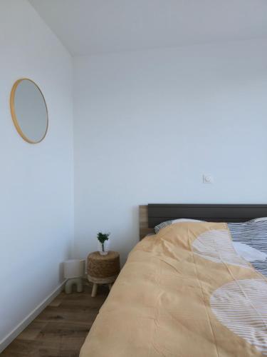 303 - Strasbourg appartement Green