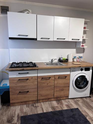 a kitchen with a sink and a washing machine at Tiny Studio Universitate in Craiova