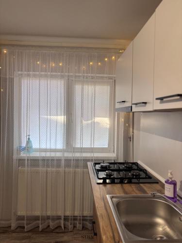 a kitchen with a stove and a sink and a window at Tiny Studio Universitate in Craiova