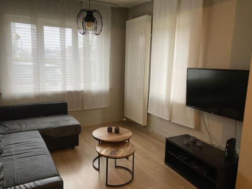 Televisyen dan/atau pusat hiburan di Maison très confortable