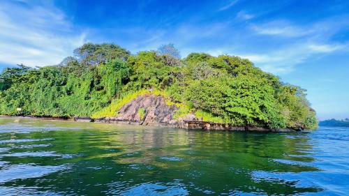 an island in the water with trees on it at Jilan Homestay in Bentota