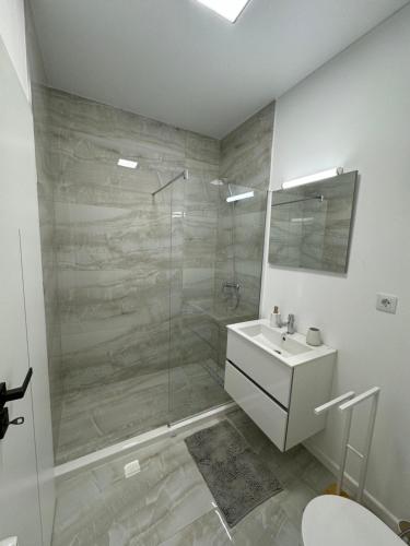a bathroom with a shower and a sink at Private Heaven at Central Park in Galaţi