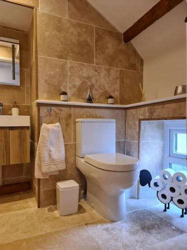 a bathroom with a white toilet in a room at Bear Cottage Cosy little place in the heart Ingleton in Ingleton