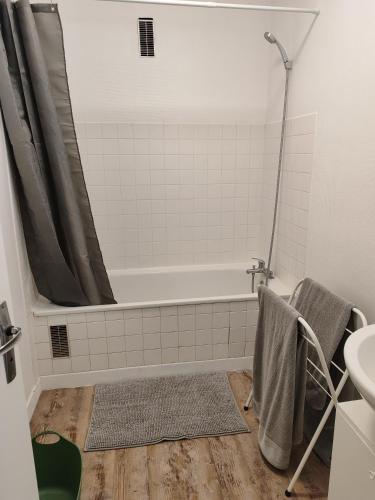 une salle de bain avec une baignoire et un lavabo dans l'établissement Séjours des Rossignols, à Tours