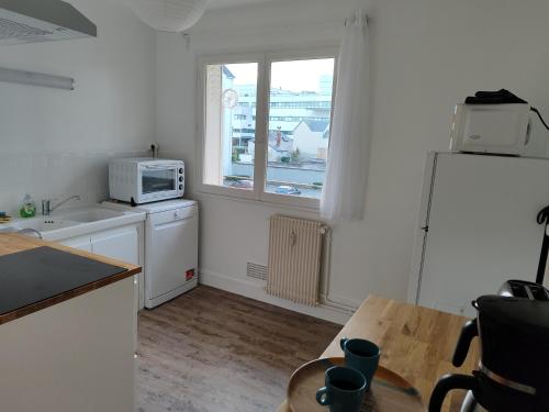 La cuisine est équipée d'un réfrigérateur, d'un évier et d'un four micro-ondes. dans l'établissement Séjours des Rossignols, à Tours