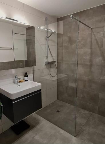 a bathroom with a glass shower and a sink at Alpenpanorama Oase in Feldkirch