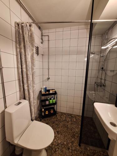 a bathroom with a toilet and a shower and a sink at Alice Apartment - main street in Rovaniemi