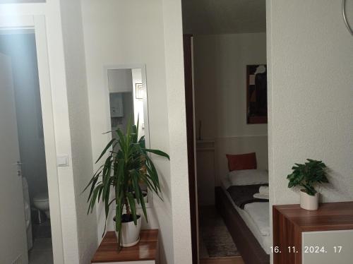 Φωτογραφία από το άλμπουμ του Studio Apartman Dalma σε Dakovo