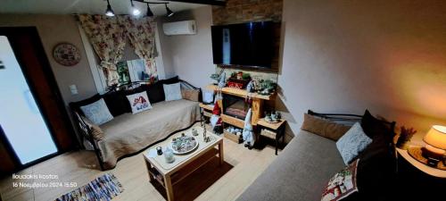 a living room with a couch and a tv at Zoe garden home in Spáta