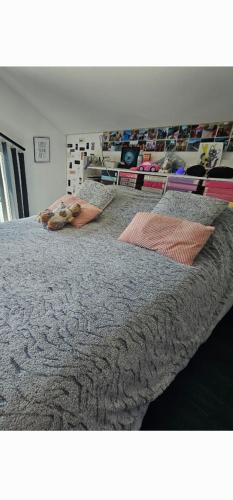 un lit avec deux oreillers dessus dans l'établissement Le treizième ciel !, à Gérardmer