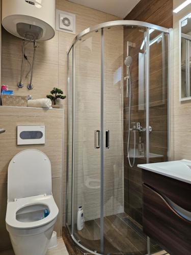 Ένα μπάνιο στο Apartman Sky light