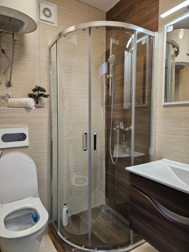 Ένα μπάνιο στο Apartman Sky light