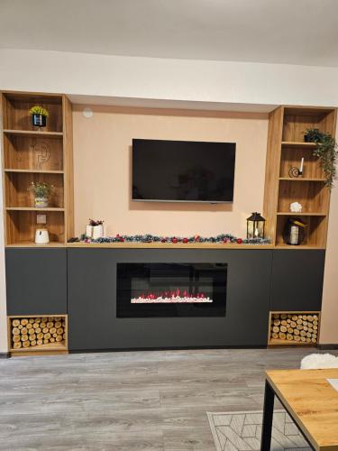 Μια τηλεόραση ή/και κέντρο ψυχαγωγίας στο Apartman Sky light