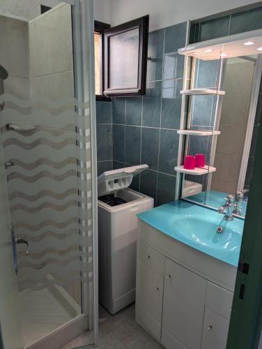 une salle de bain avec un lavabo et une machine à laver dans l'établissement Appartement accès piscine collective Porticcio Corse du sud, à Porticcio