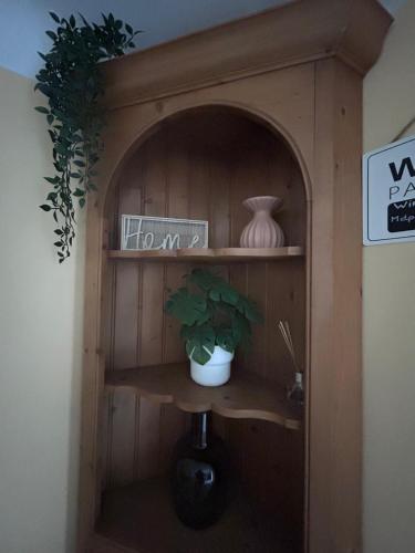a shelf with a potted plant in a room at La Soleillade in Manosque