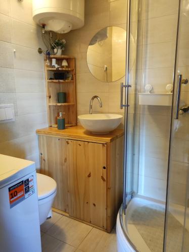 a bathroom with a sink and a shower at Mrežnica - Zelena oaza II in Generalski Stol