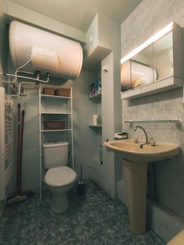 une salle de bain avec toilettes et lavabo dans l'établissement Appart Cosy 4 Personnes - Ski aux Pieds, Les Orres, aux Orres