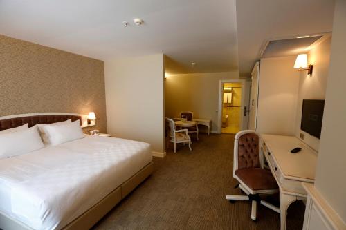 Cette chambre comprend un lit, un bureau et une télévision. dans l'établissement Hanzade Park Hotel, à Trabzon