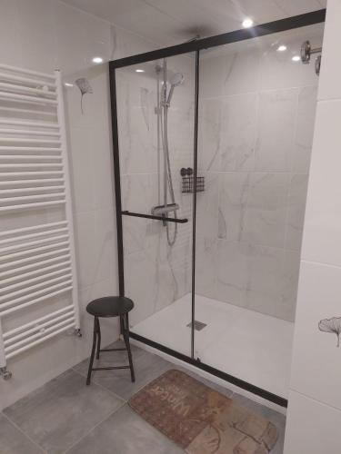 La salle de bains est pourvue d'une douche avec un tabouret. dans l'établissement Chalet la Chaumière, à Hauteluce