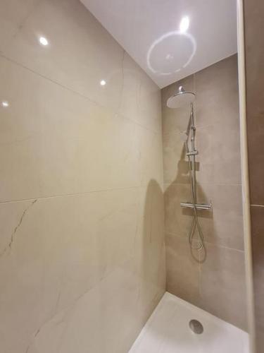 une salle de bain avec une douche avec un lavabo et une douche dans l'établissement Appartement 2 pièces avc piscine, à Villeneuve-Loubet