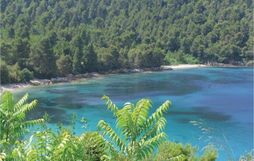 a view of a river with a beach and trees at Holiday Home Zuljana 21 in Žuljana