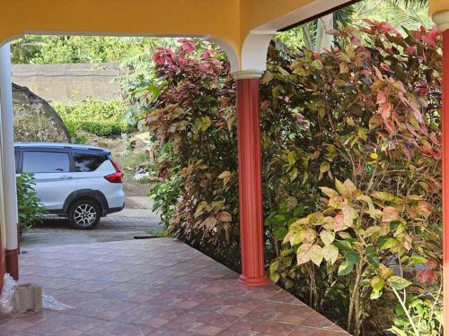 a car parked in a driveway next to a garden at Jardin Damon in Soufrière