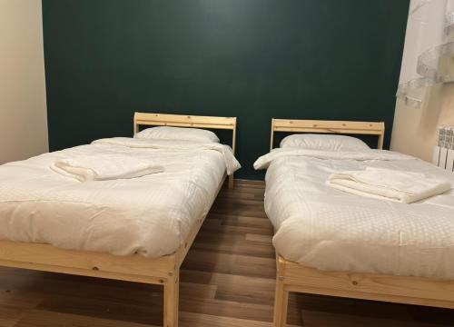 two twin beds in a room with a green wall at Mieszkanie w bloku Sudół koło Bałtowa in Sudoł