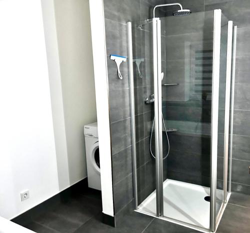 a glass shower in a bathroom with a toilet at No 20 - gemütliche 2 Zimmer Whg, Küche, Balkon, Badewanne, Parkplatz in Leinefelde