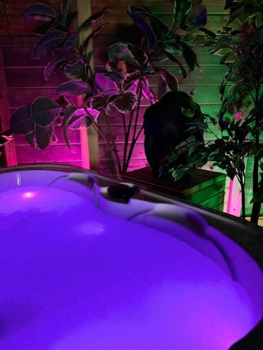 a purple bath tub with a plant in a room at Gîte Studio Alsa 15 avec Jacuzzi privatif in Fortschwihr