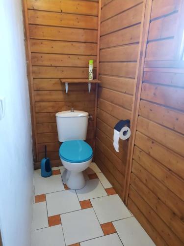 a bathroom with a toilet with a wooden wall at Très belle location touristique in Sainte-Anne