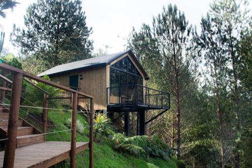 a tree house in the middle of a forest at Ojo de Agua Cabañas en Guatapé in Guatapé