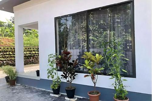 a window with plants in pots in front of it at Urbane Cove in Trivandrum